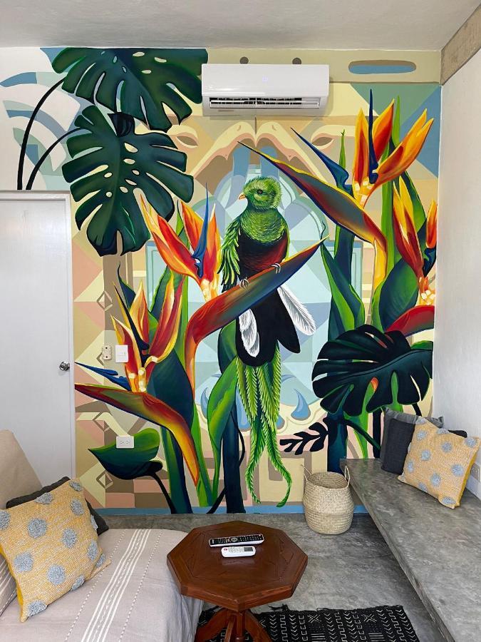 Katalox Jungle Lofts By Simply Comfort Tulum Centre Rooftop Patio & Pool Apartment Luaran gambar